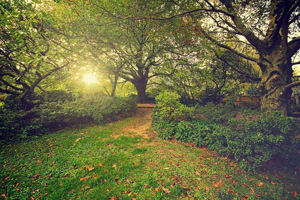 מלון Nesuto Leura Gardens מראה חיצוני תמונה