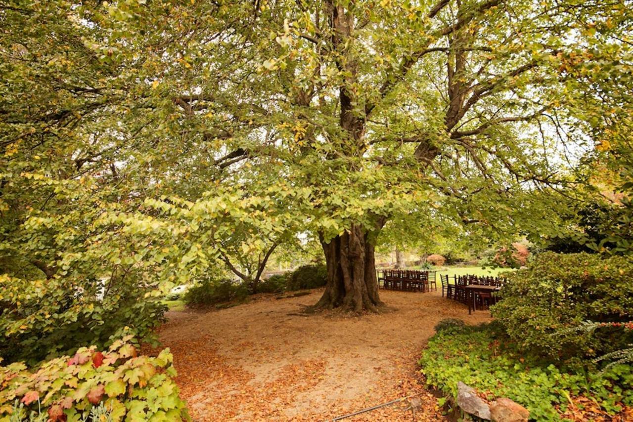 מלון Nesuto Leura Gardens מראה חיצוני תמונה