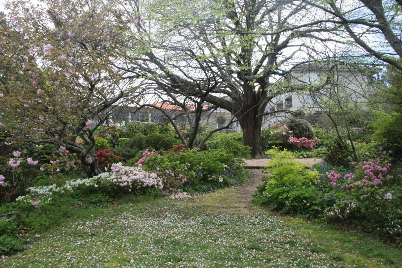 מלון Nesuto Leura Gardens מראה חיצוני תמונה