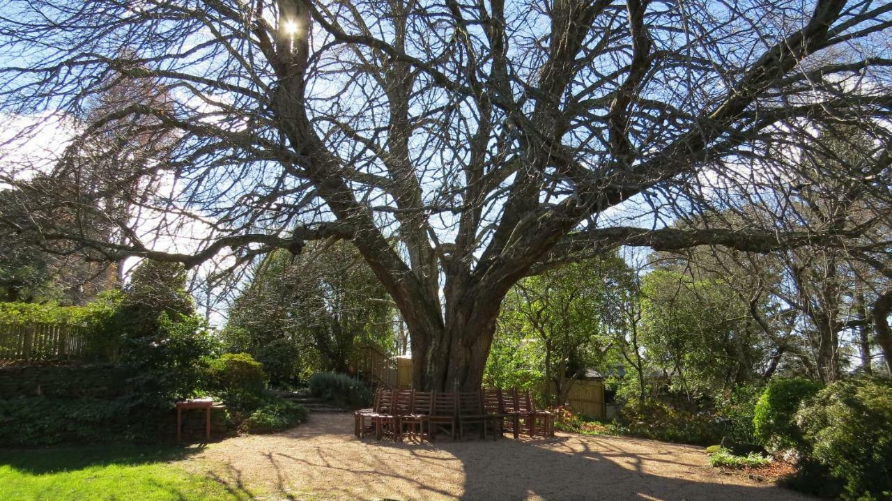 מלון Nesuto Leura Gardens מראה חיצוני תמונה