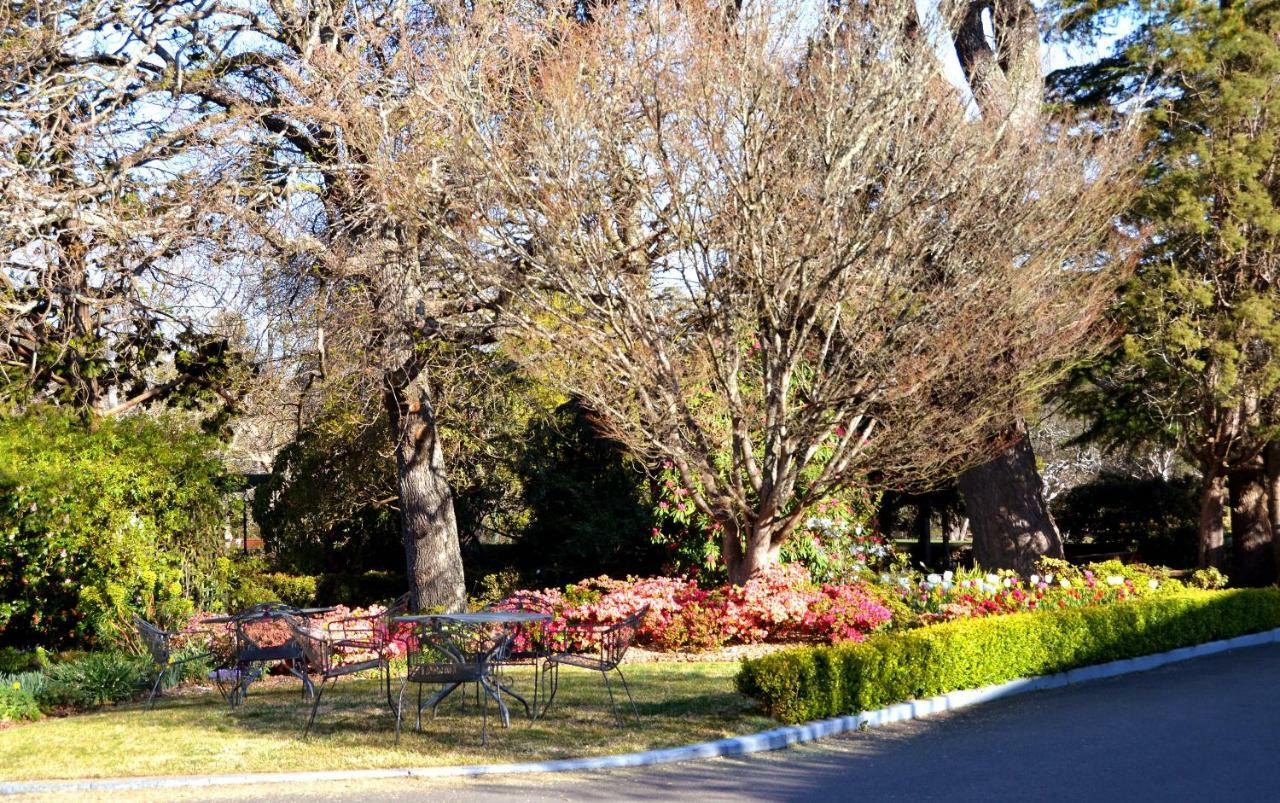 מלון Nesuto Leura Gardens מראה חיצוני תמונה